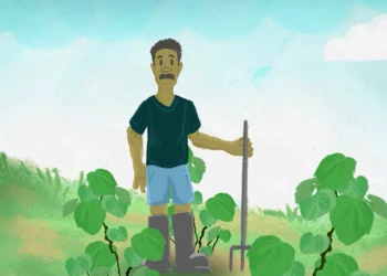 PhamaPlus Kava Plant Health