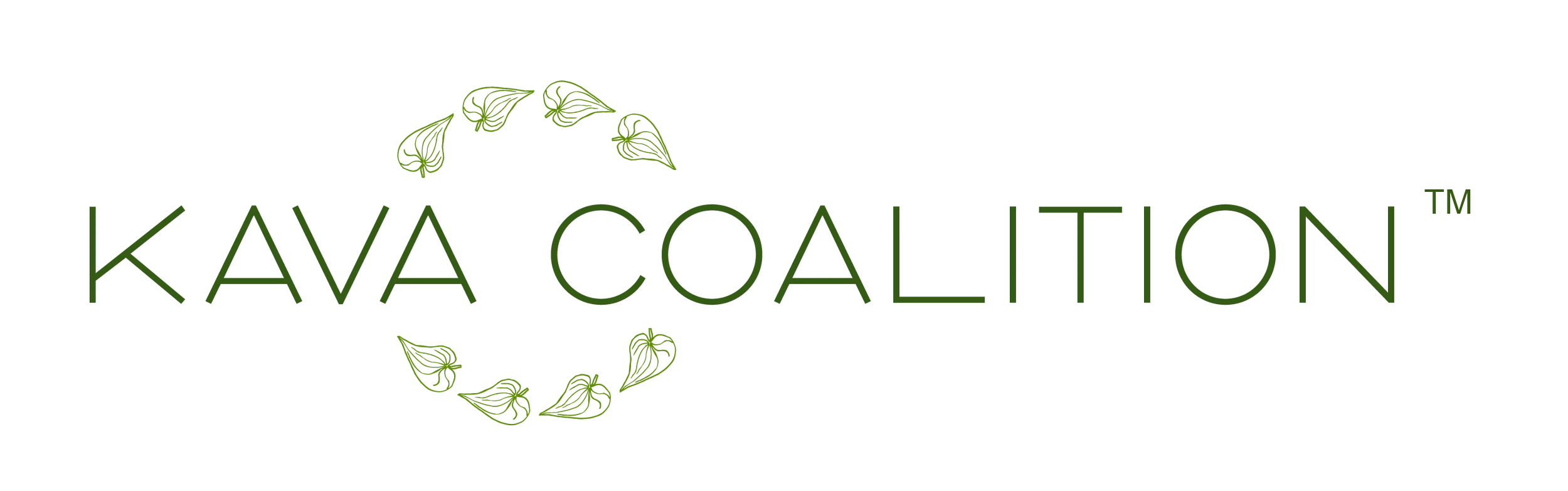 Visit Kava Coalition Website