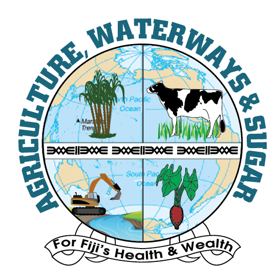 Visit Kava Coalition Website